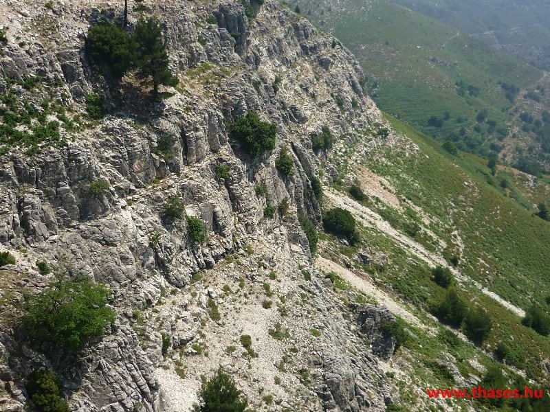 balazsh 2011